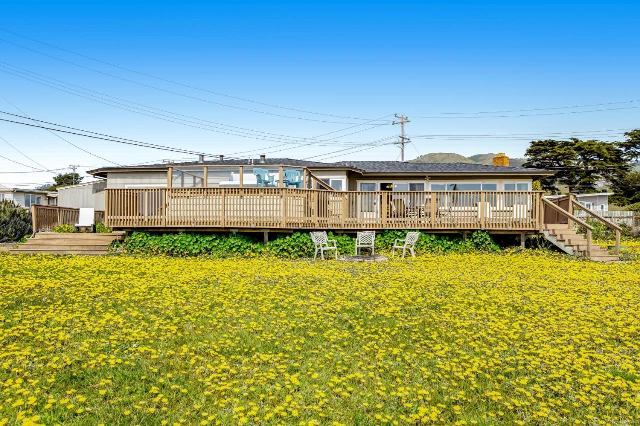 Cozy Carmet Cottage Bodega Bay Exterior foto